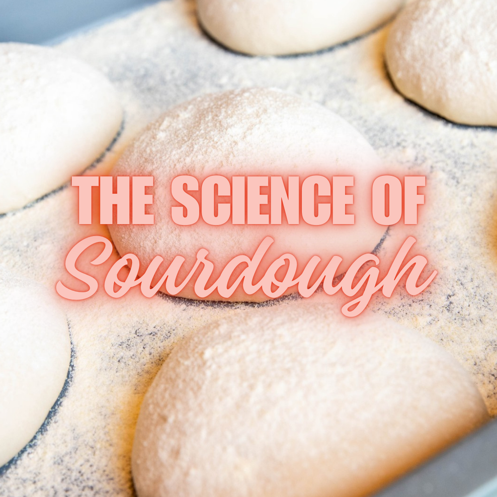 The Science of Sourdough